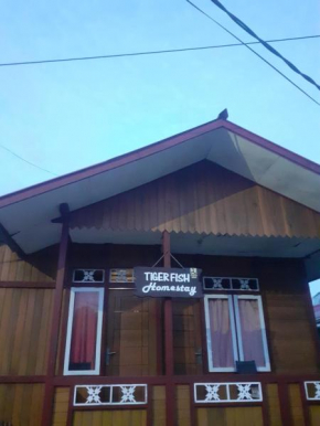 Tiger fish homestay